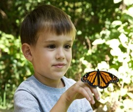 This photo shows a boy who is converging his eyes to look closely at a butterfly that has landed on his finger