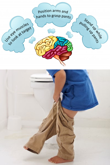 This photo shows a young boy stepping into a pair of pants. Overhead, a diagram shows a brain with three thought bubbles. 